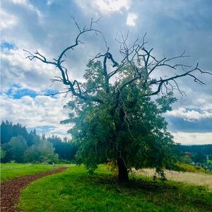 Like This To Be Notified Of Posh Shows!